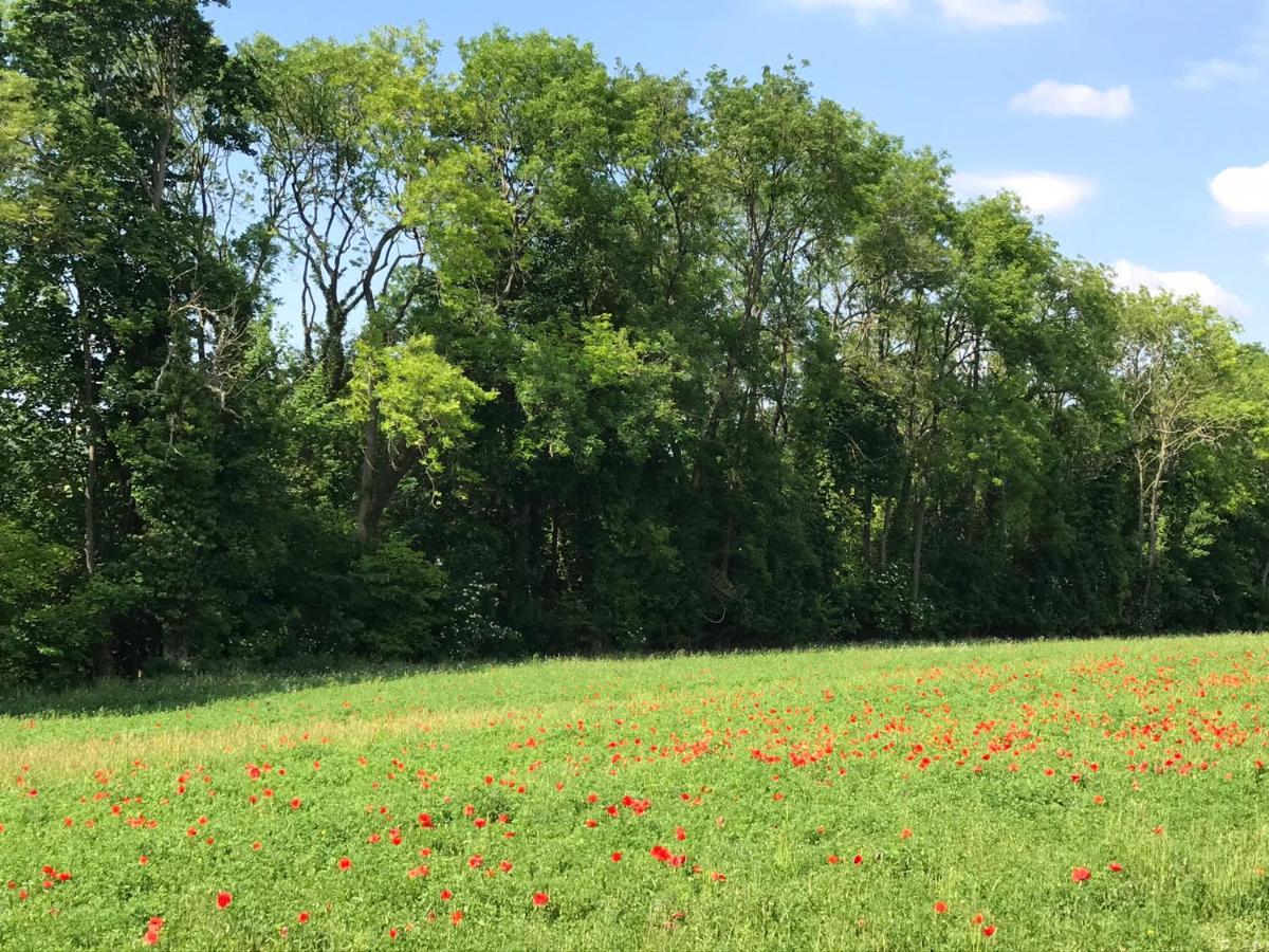Nurlu Chambre D'Hotes "Coquelicot" المظهر الخارجي الصورة